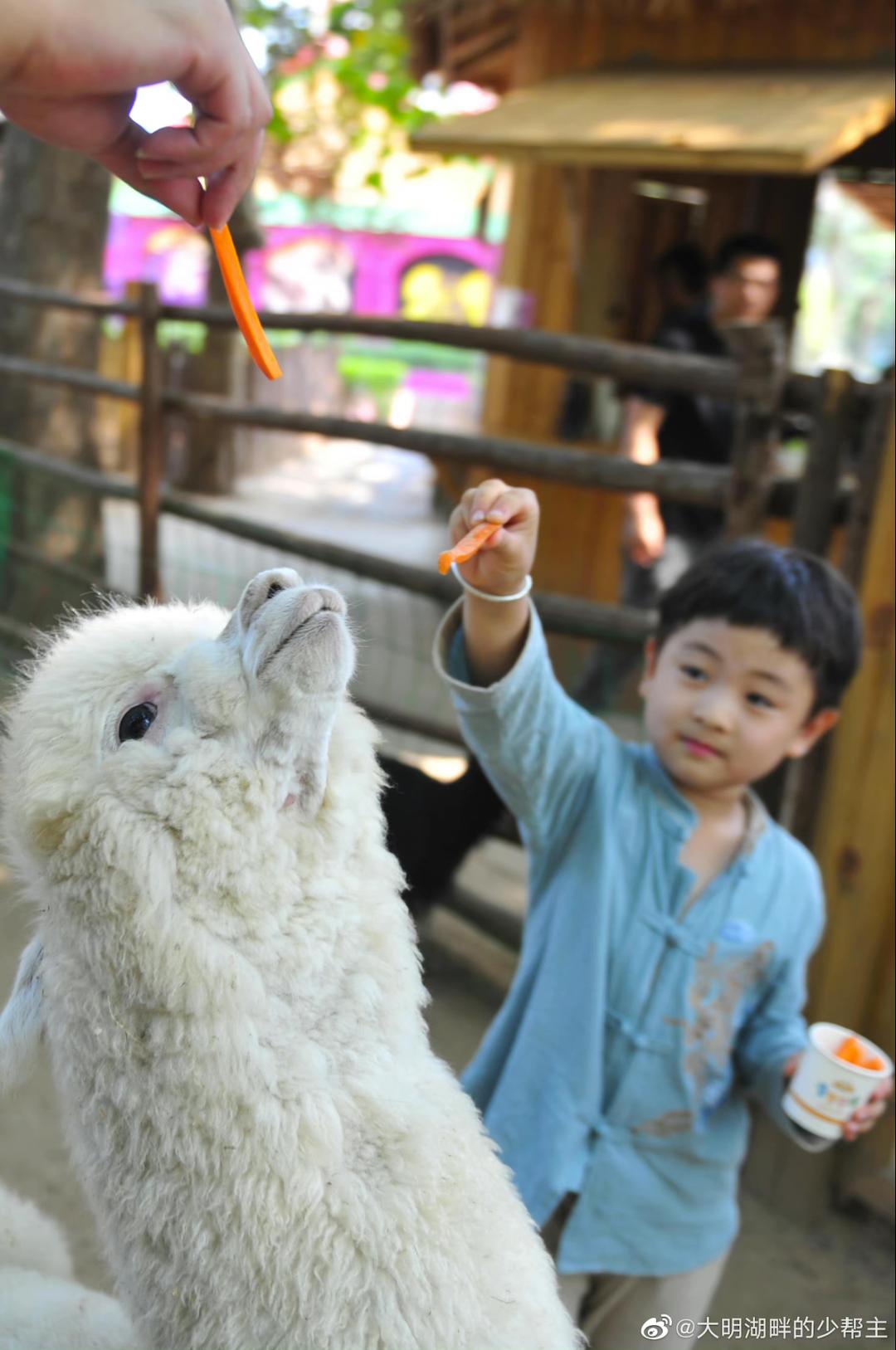济南遛娃嗨玩这里享优惠,济南遛娃乐园周末