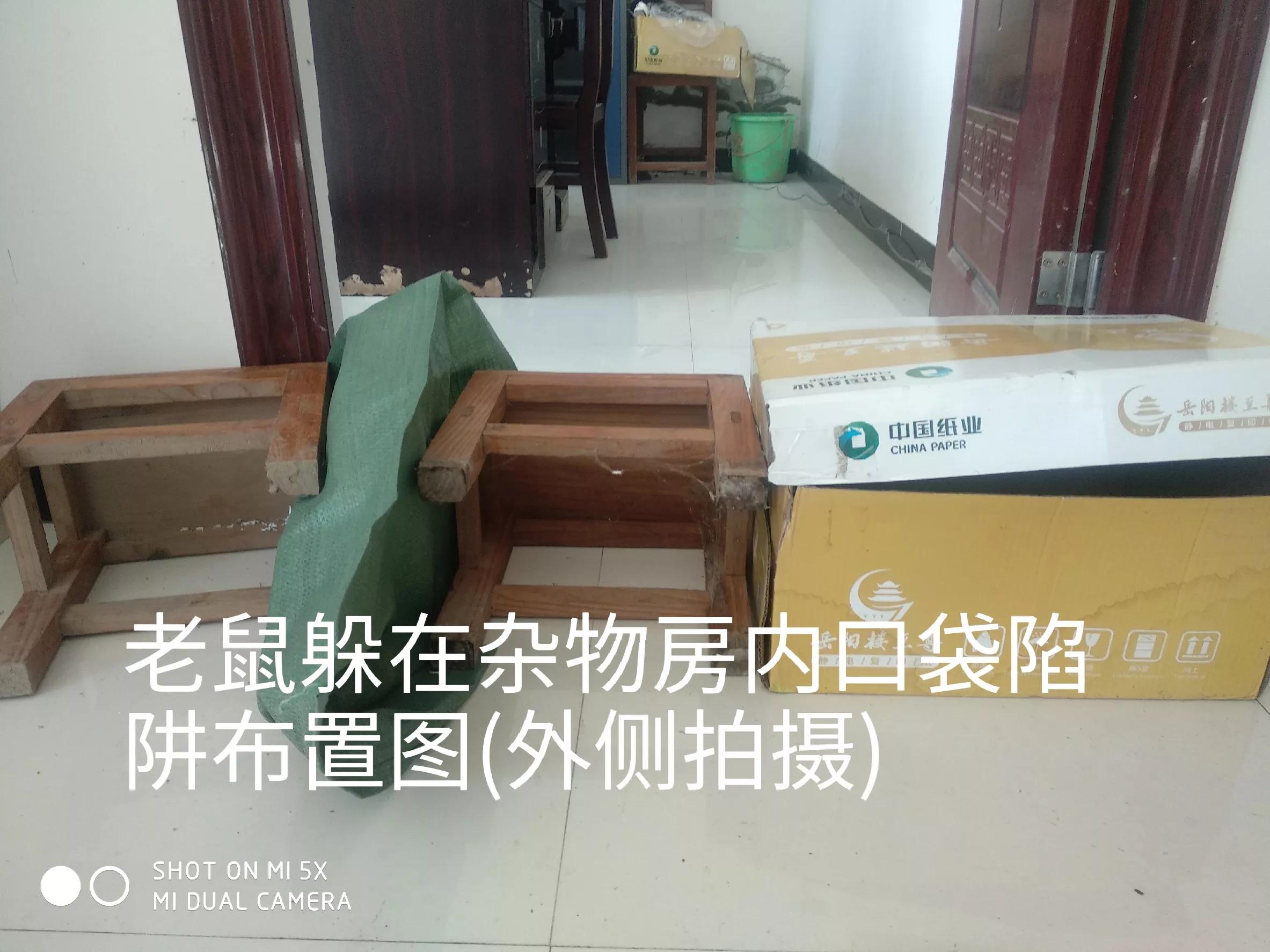 快速抓住房间里老鼠的技巧,怎样才能抓到房间里躲着的老鼠