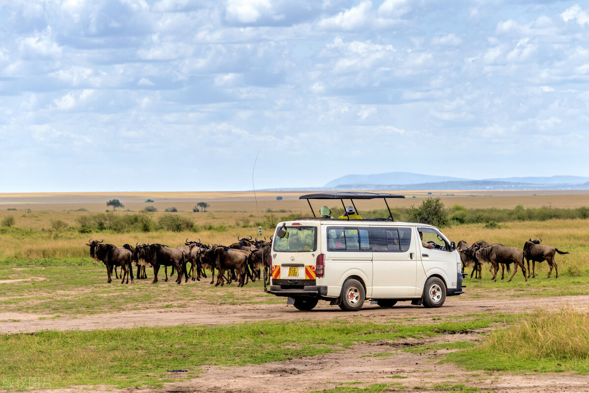 马达加斯加工资待遇,马达加斯加务工工资