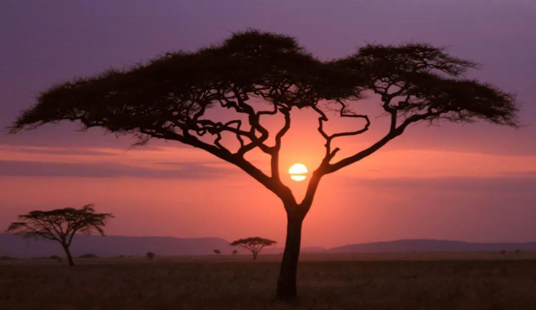 诡异的气息：揭开*腥偷**女人身上神秘的3种味道