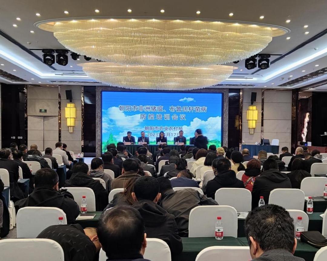 2023年辽宁省布病防控专项行动启动会议暨朝阳市非洲猪瘟、布病防控培训会议在朝阳市召开