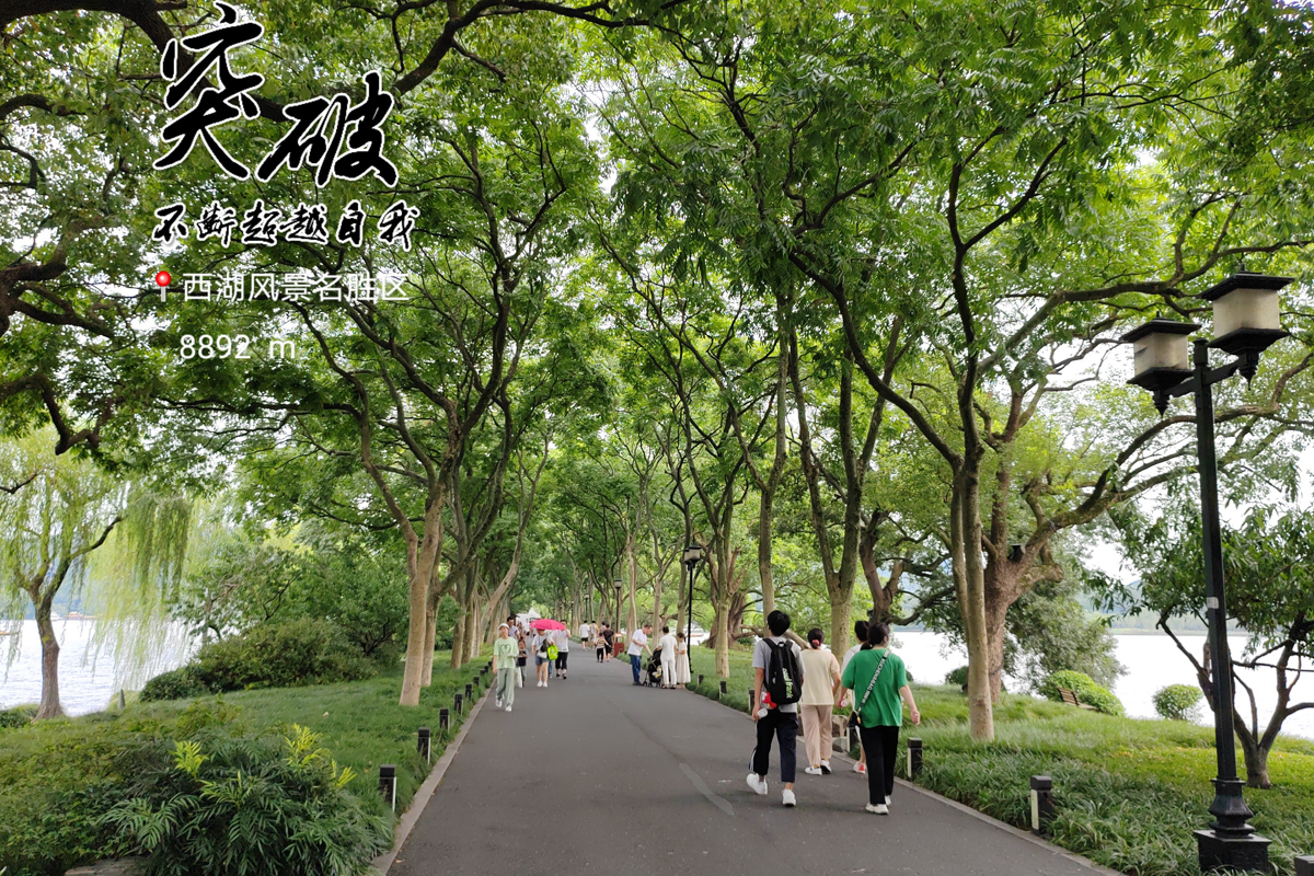 荣耀70评测：颜值才华兼备，旗舰IMX800要你好看，五星好“屏”