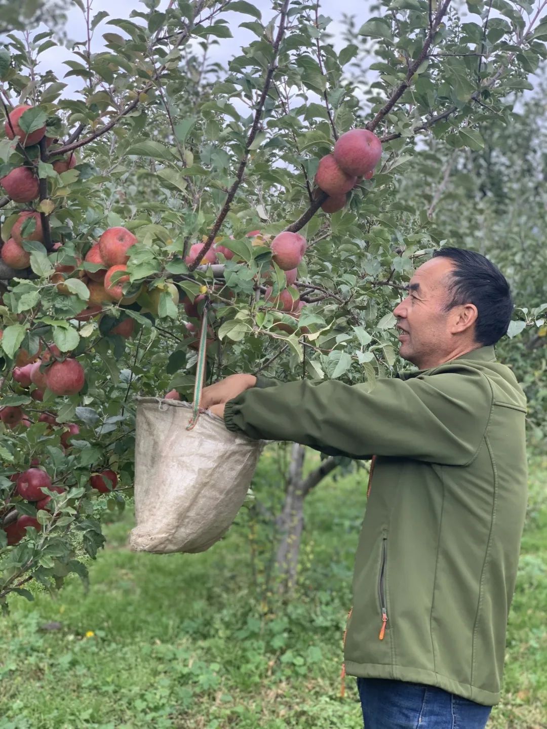 途远集团ceo石绍东,途远石绍东