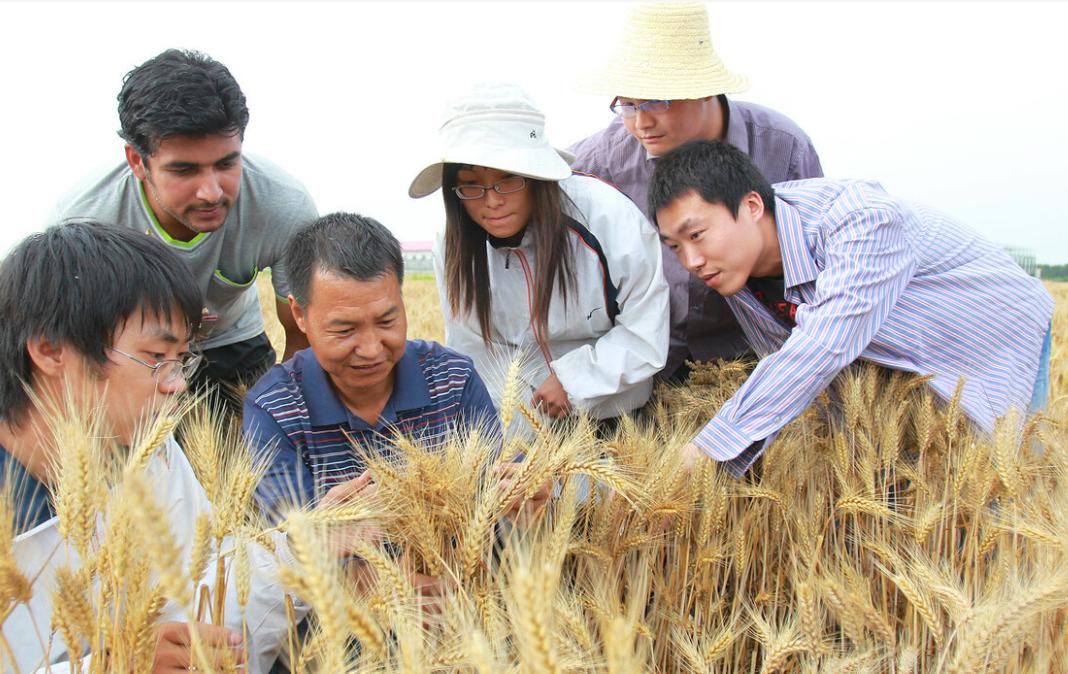 低分捡漏985大学值得吗,适合捡漏的六所985大学