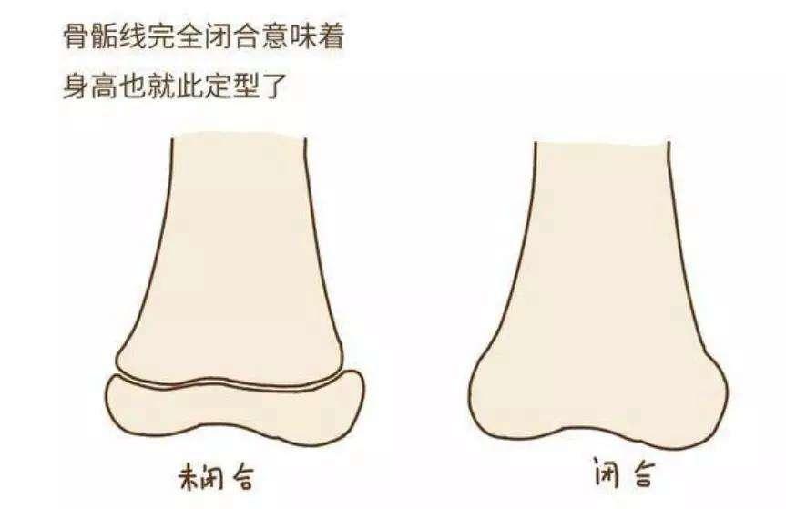 儿童购火车票身高超标该怎样购票,儿童购买火车票身高标准