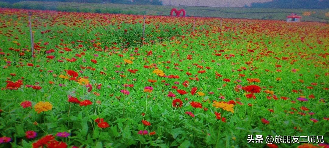 佛山三水白坭附近的旅游景点,佛山三水出发黄姚古镇旅游攻略
