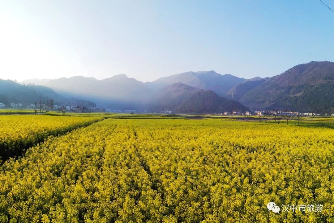 汉中油菜花海线路图,汉中城固油菜花观花点