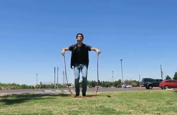 真实大象图片大全可爱,真实野生大象图片