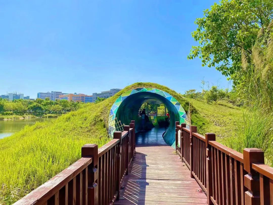 深圳十大最美公园旅游攻略,深圳免费公园景点值得打卡的地方