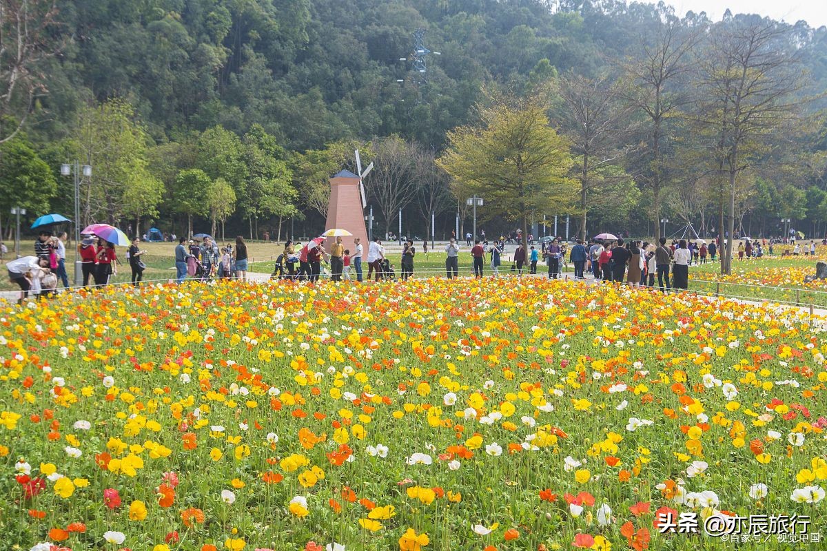 福州周边秋天有什么好去处,福州周边游玩景点推荐秋季攻略