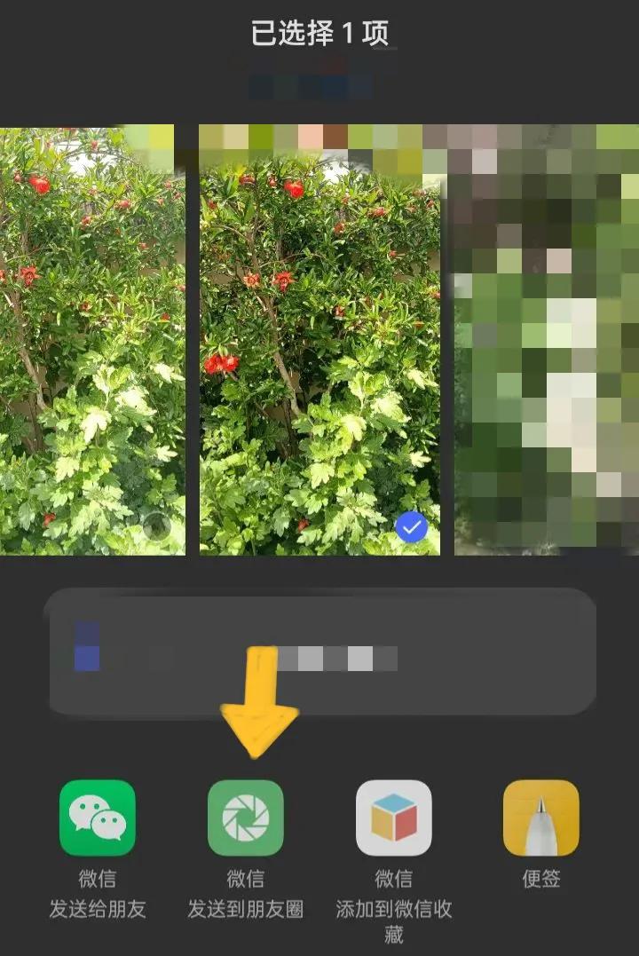 微信朋友圈怎么打开使用,微信朋友圈使用技巧大全图解
