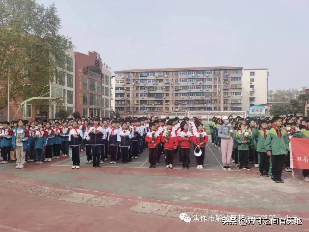 我们的节日清明主题活动情况汇报,我们的节日清明节活动开展情况