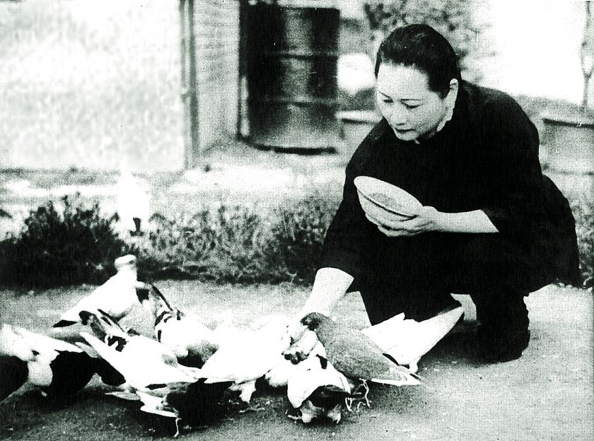 宋庆龄故居内和平鸽舍,建党100周年庆祝大会放飞和平鸽