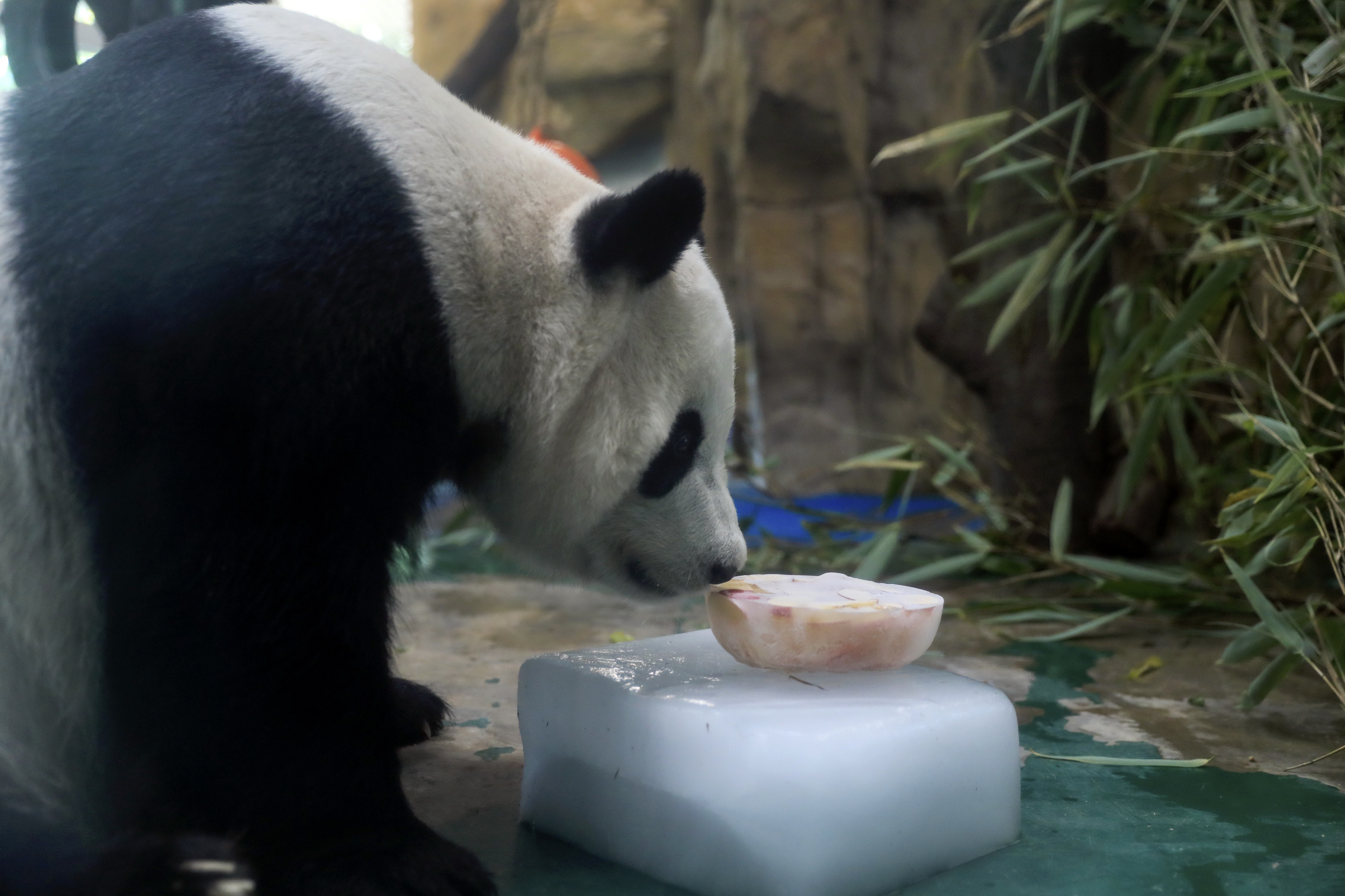 四川40度高温不敢出门,四川高温天气不敢出门