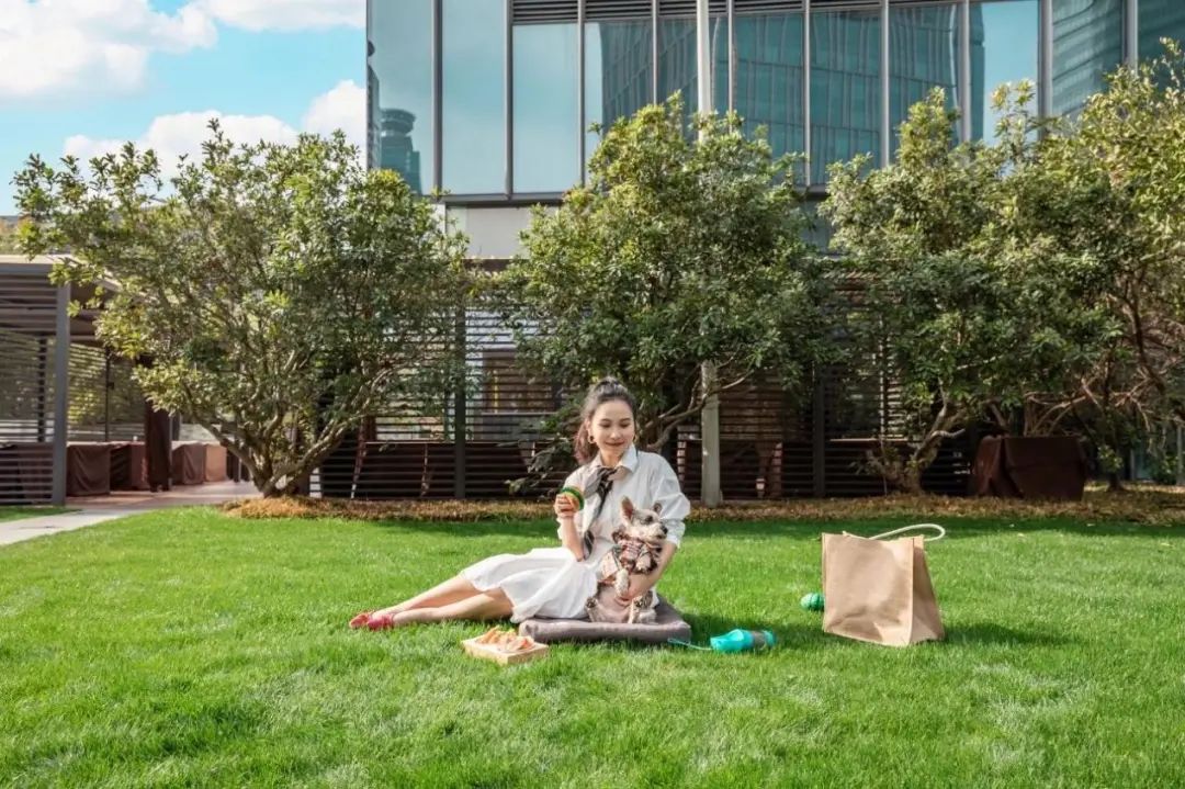 魔都宠物天地,魔都周边宠物友好景区