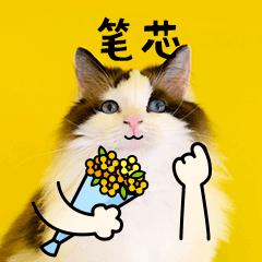 vlan划分方法大全,vlan划分入门基础知识