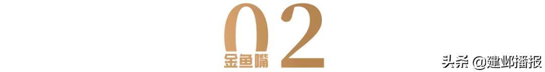 精准招商产业聚合发展,精准招商与构建产业集群