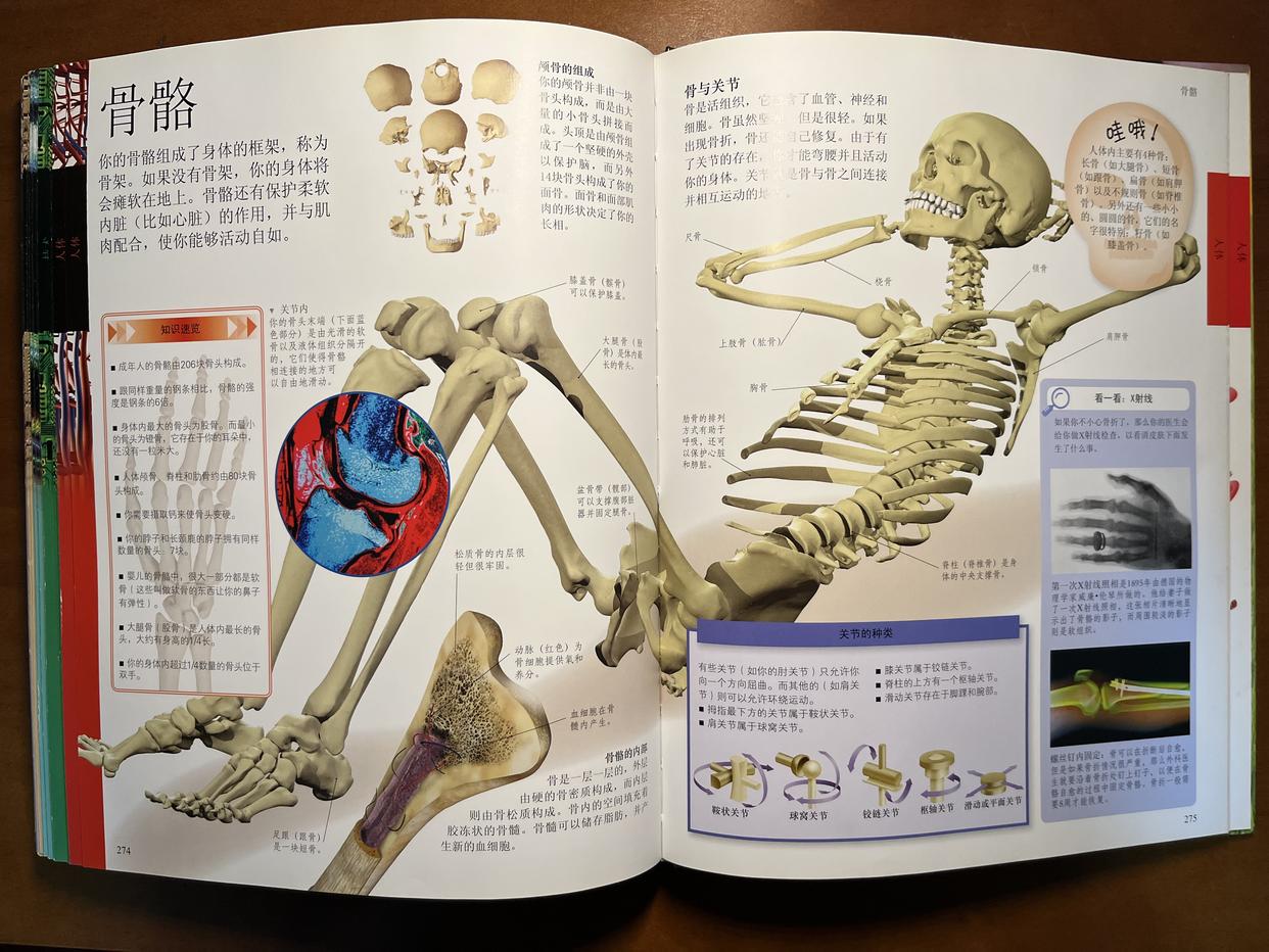 dk儿童百科全书9本套,dk儿童百科全书全套动画怎么获得