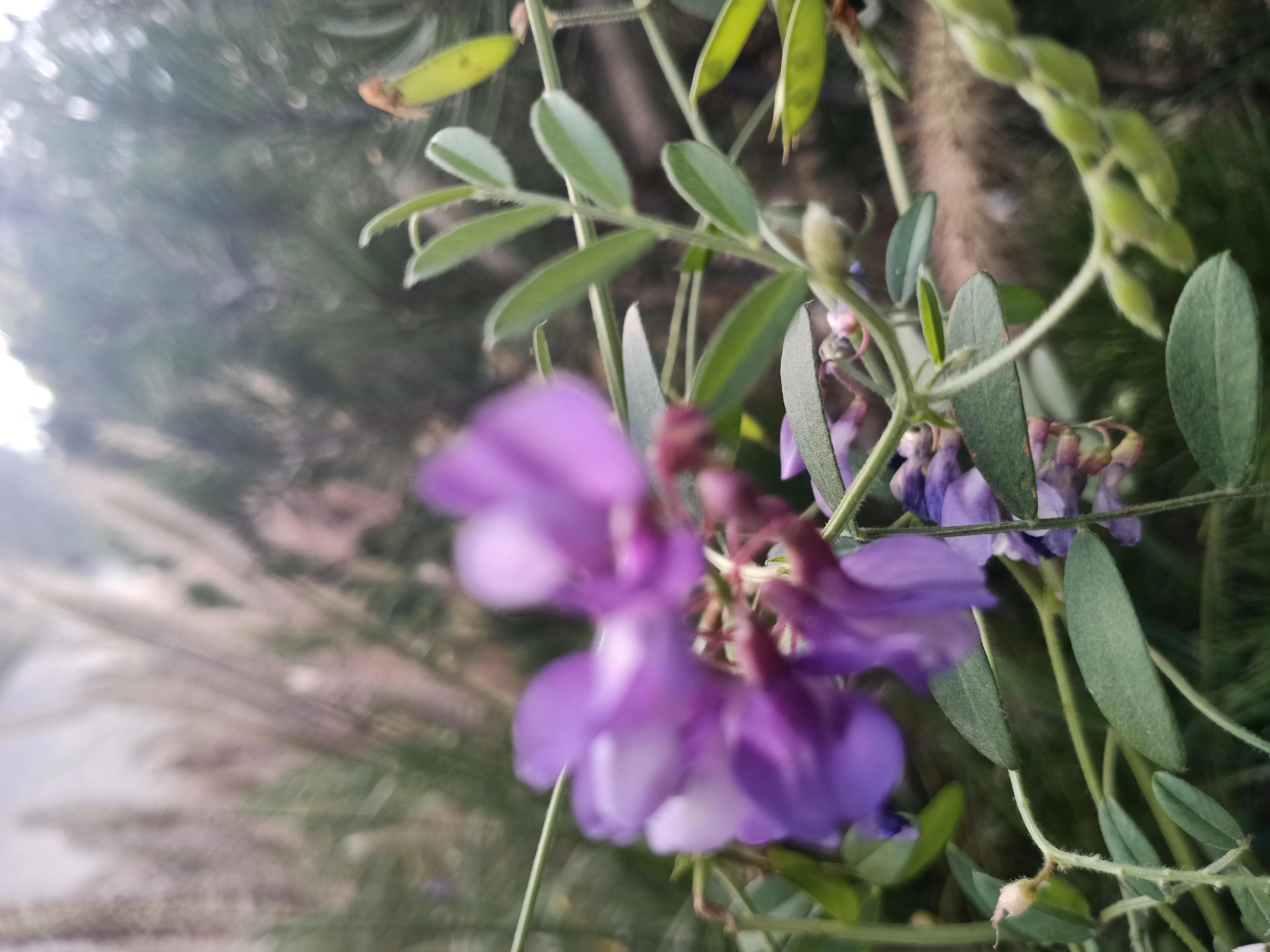 莫名的烦躁怎么静心,最近心情总是烦躁焦虑怎么办