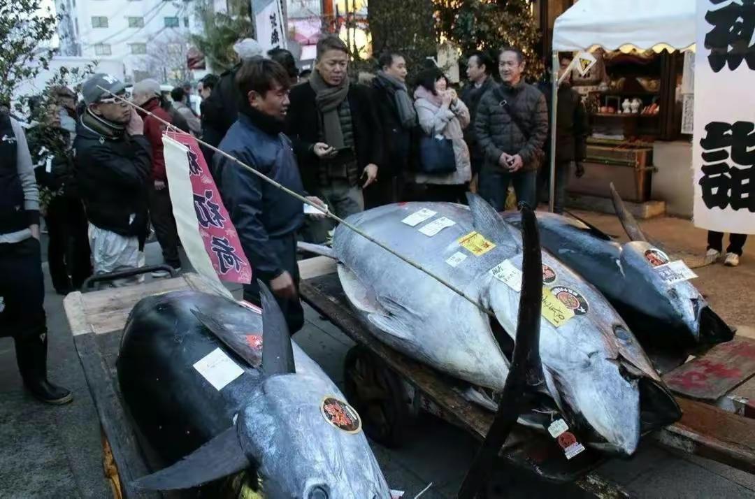 世界第一港口现状,昔日世界第一渔场