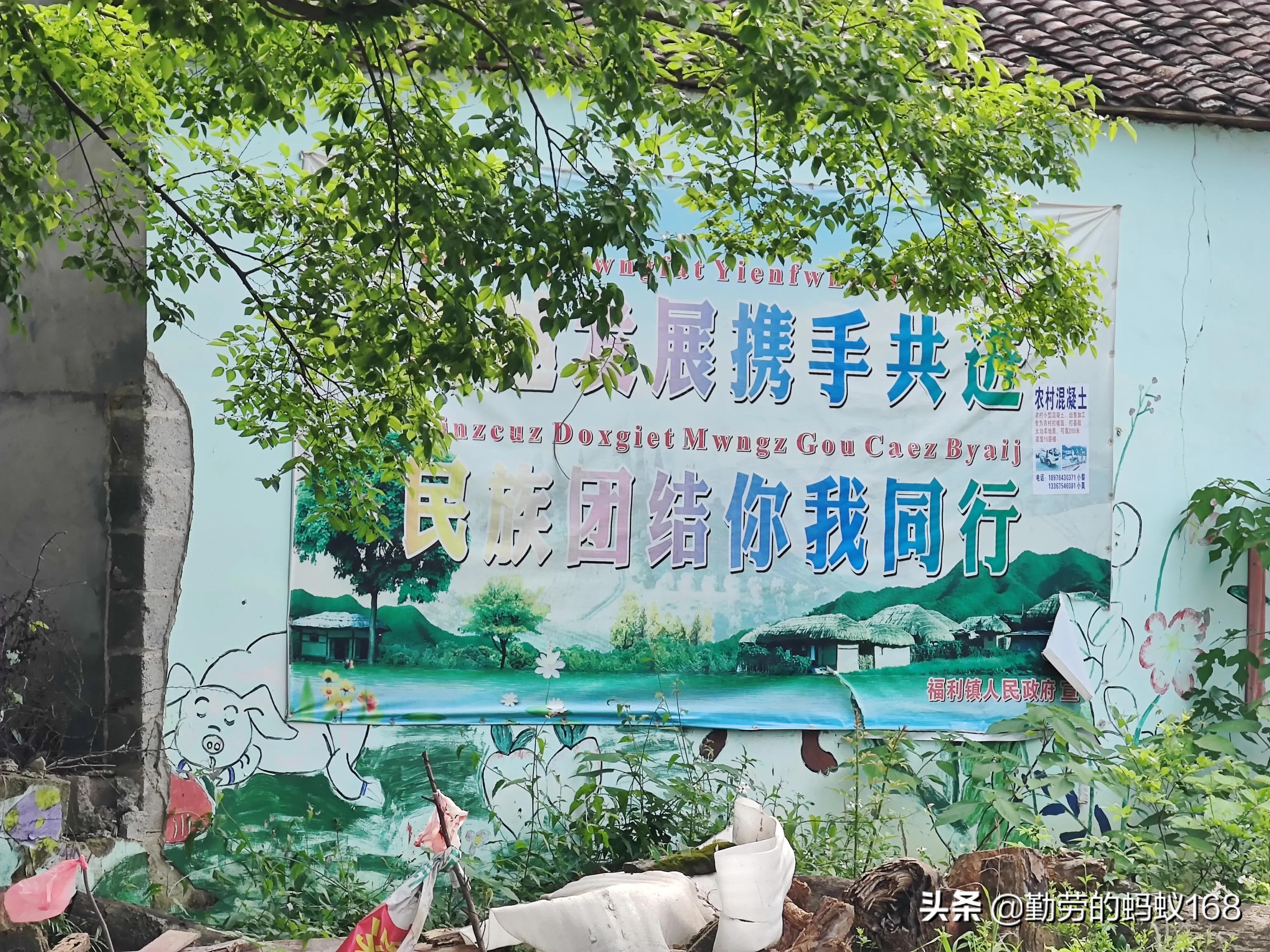 小米11ultra3999值得买吗,小米11ultra和荣耀magic4