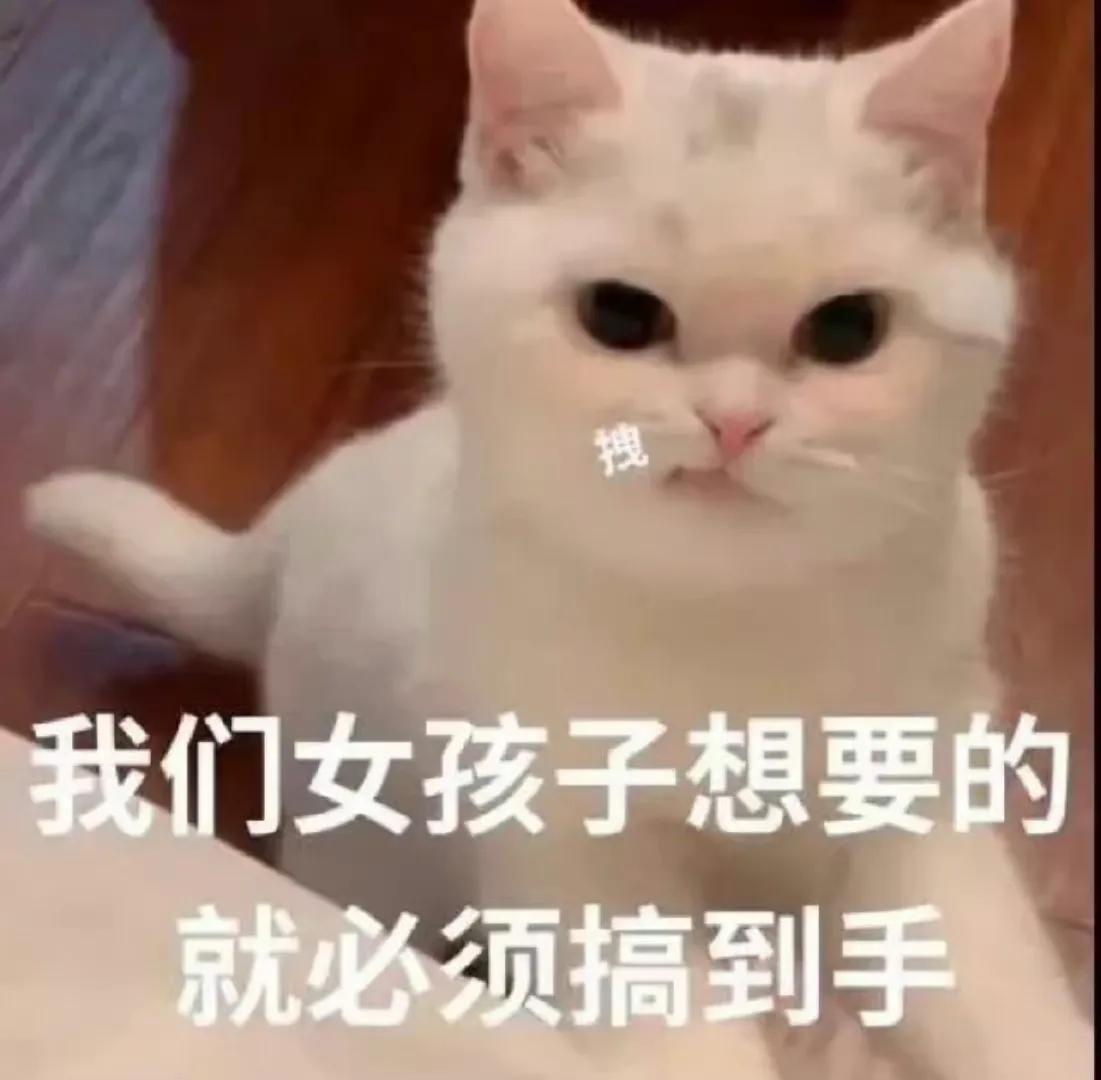 沙雕又可爱的微信昵称,可爱沙雕女昵称