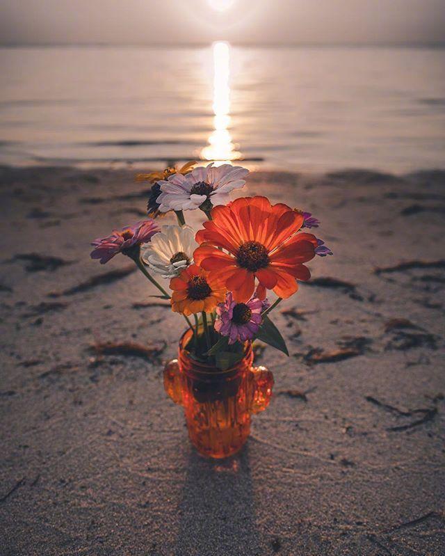 六月最后一天晚安说说,八月下雨晚安说说短句