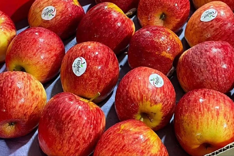 外国水果运到中国,澳洲水果出口中国