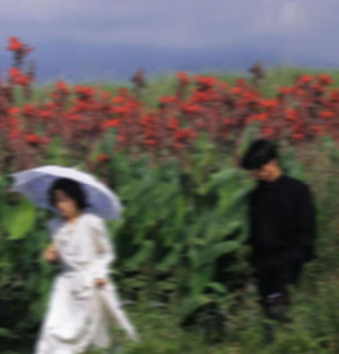 爱最好的方式到底是动词还是名词,爱一个人最好的方式就是不去打扰