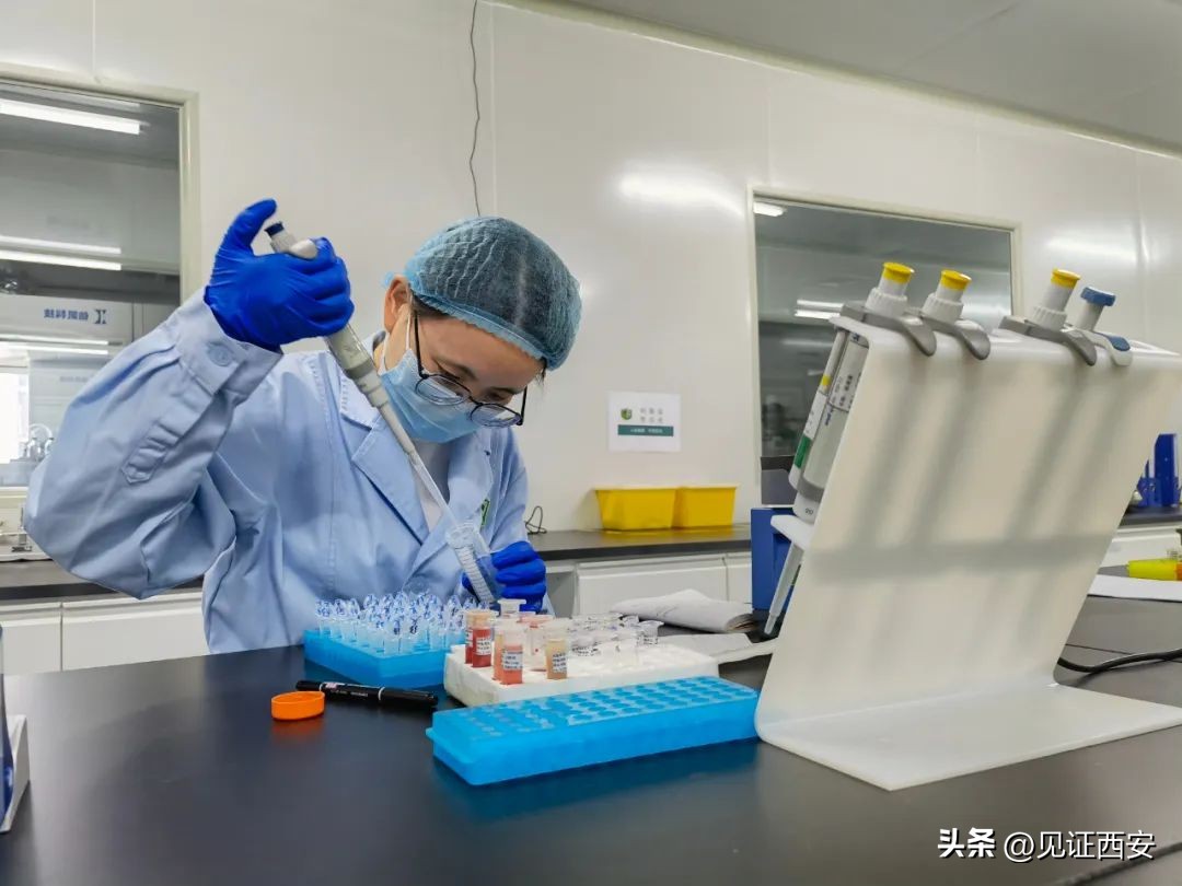 临空经济引领未来,临空经济起步去北京