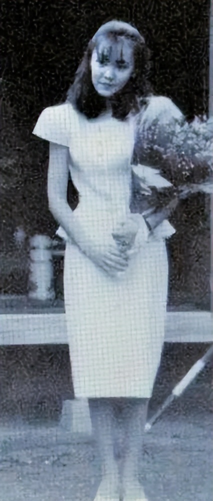 安倍遇刺身亡在场女保镖引热议,安倍妻子对安倍遇刺的反应