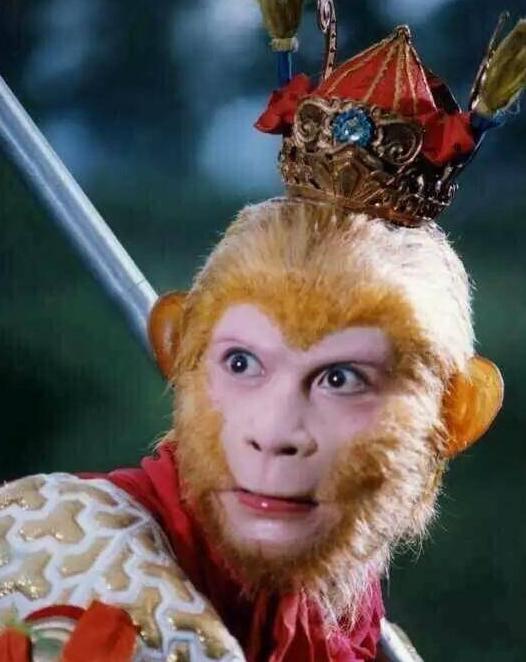 内娱猴哥是谁,内娱五大名猴