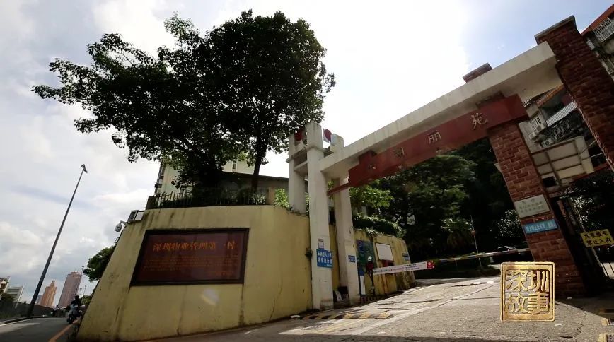 讲解深圳的纪录片,纪录片深圳的变迁