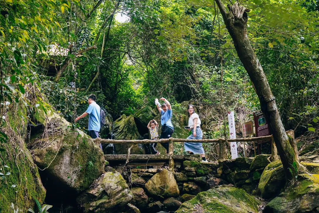 广州遛娃好玩的地方推荐,广州遛娃必去的景点