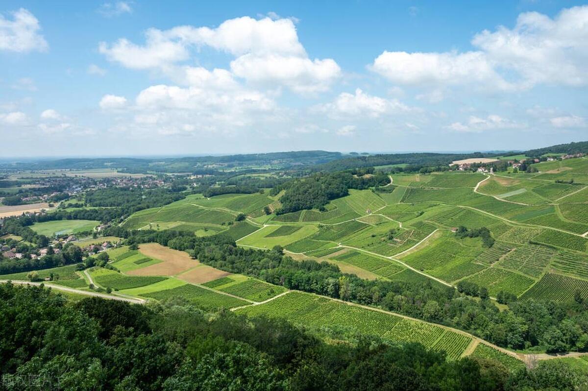 请说出5个法国葡萄酒产区名称,简述中国葡萄酒的主要产区及名品