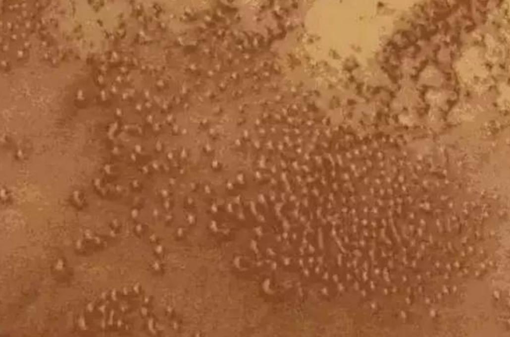 火星上有没有外星人存在,火星真的发现了外星人的踪迹吗