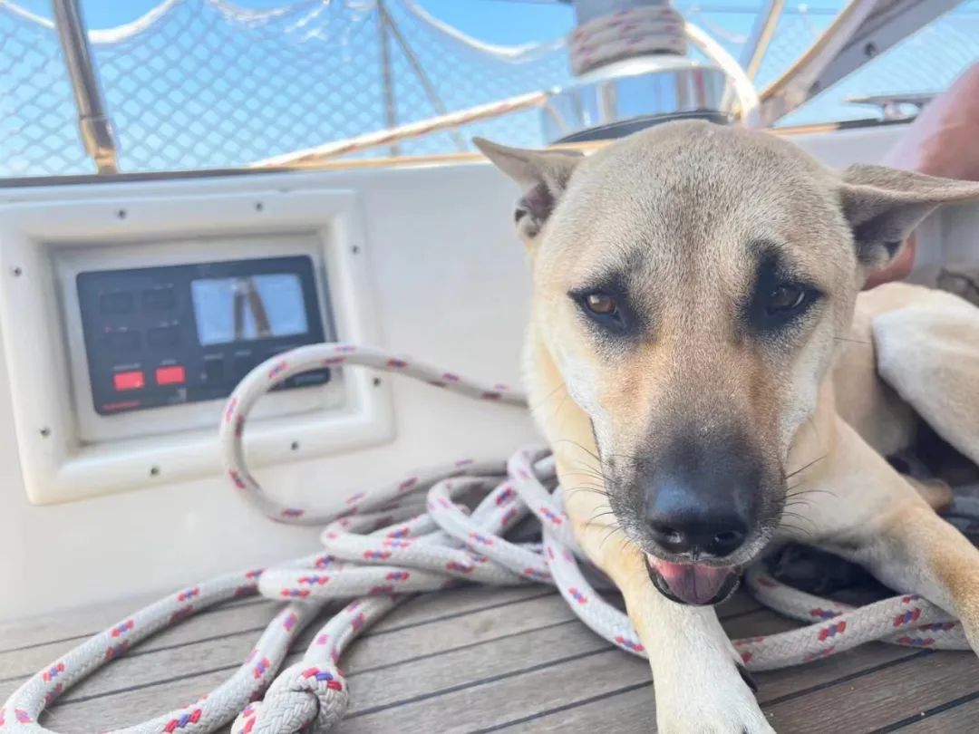 “真正远航的都是疯子！”但我无条件相信我的船长我的船