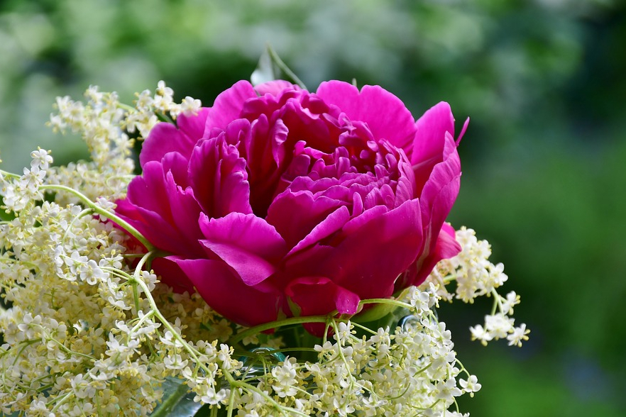 攻陷男人心的最佳方法,捕获男人心的秘诀