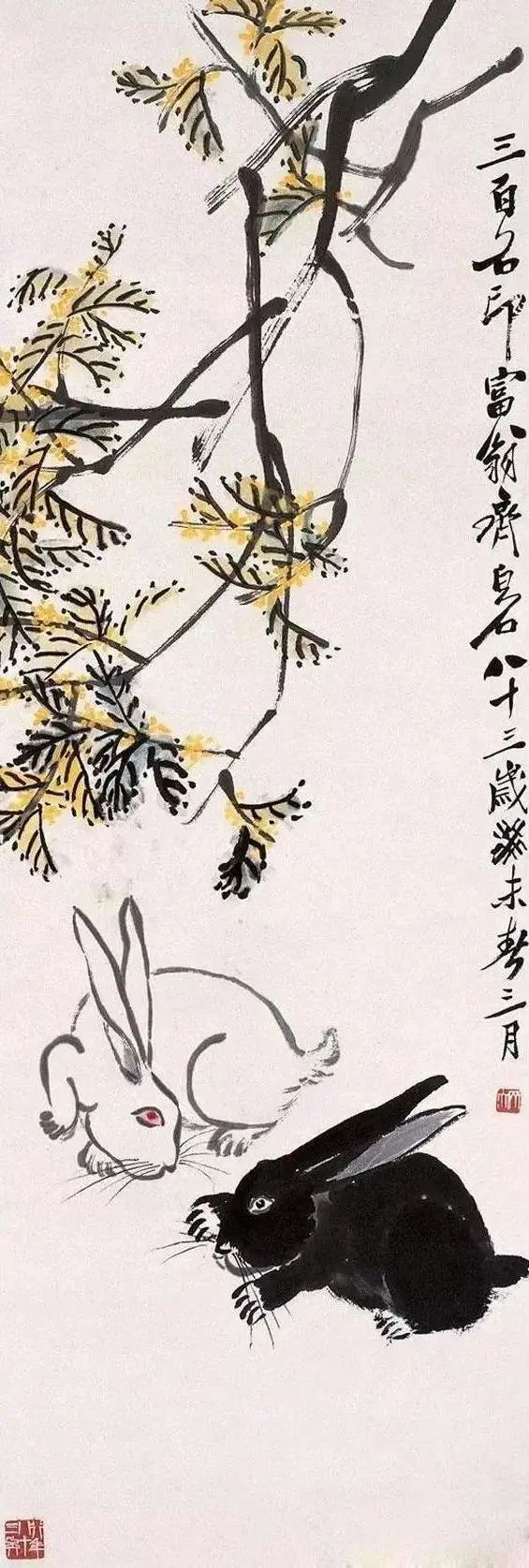 齐白石笔下富贵的牡丹,齐白石写意兔子