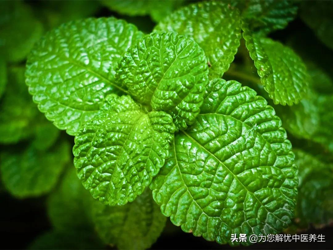 《围魏救赵》概括,围魏救赵简单概括阅读感想