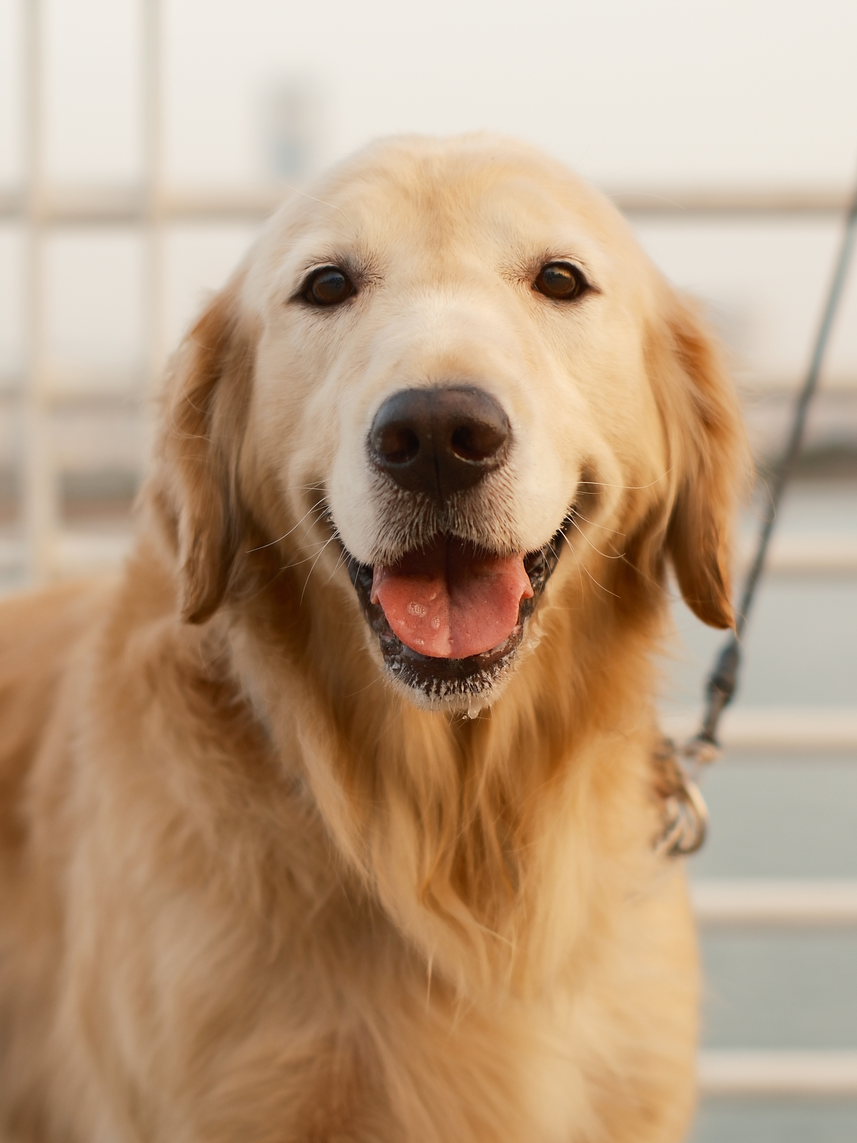富士颜色最好看的相机,富士相机胶片直出推荐