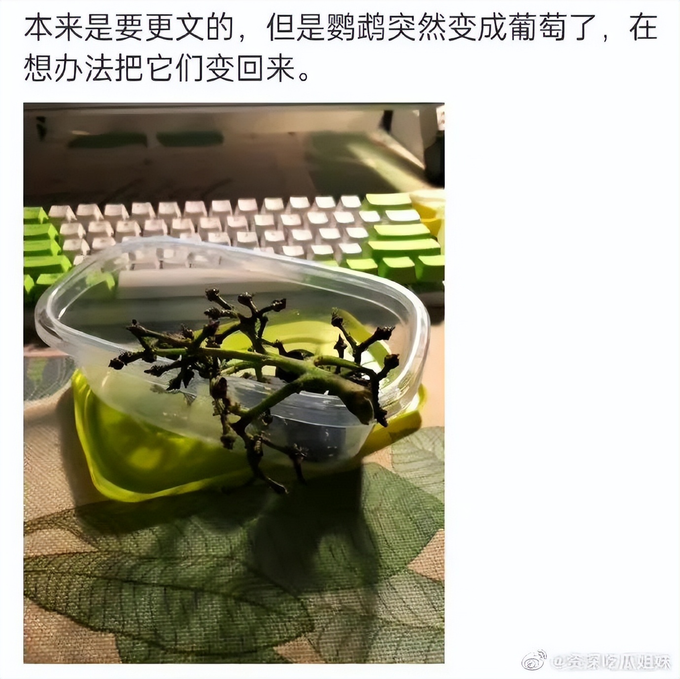 网文作者被爆马甲,网文作者搞笑事件