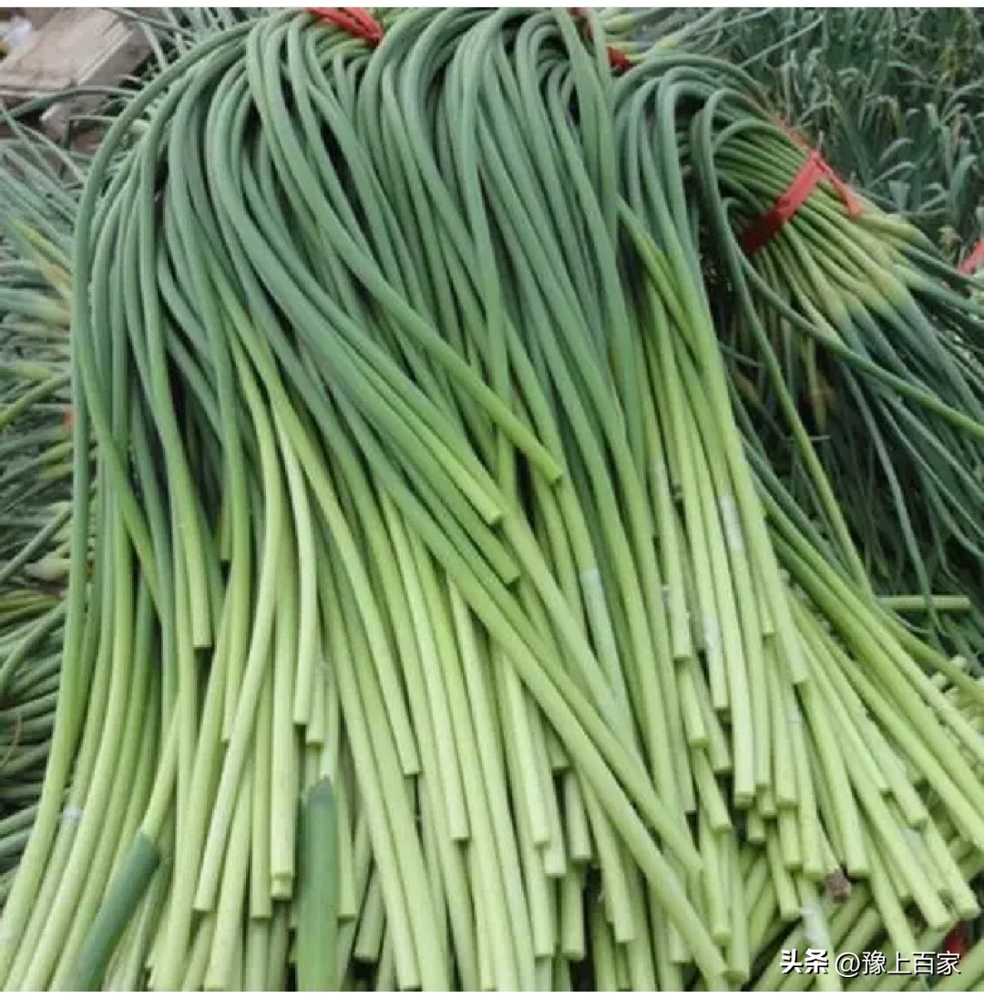 独头大蒜和普通大蒜的区别,脖子上套大蒜有什么科学依据吗