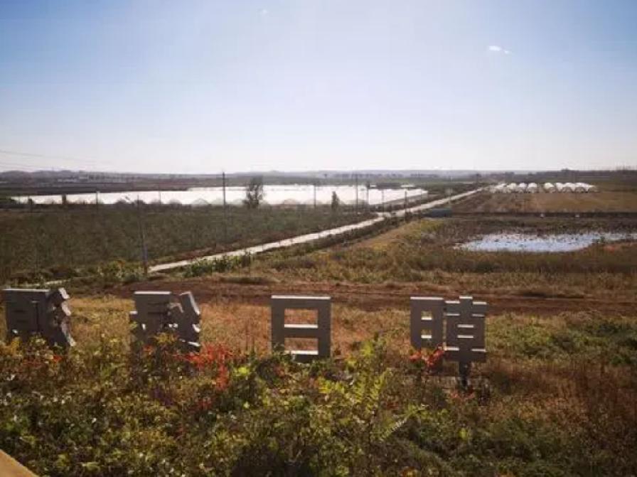 日本人在山东租了1500亩地,日本人在山东租一千五百亩地干啥