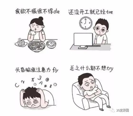 26哥的直播间,26哥视频