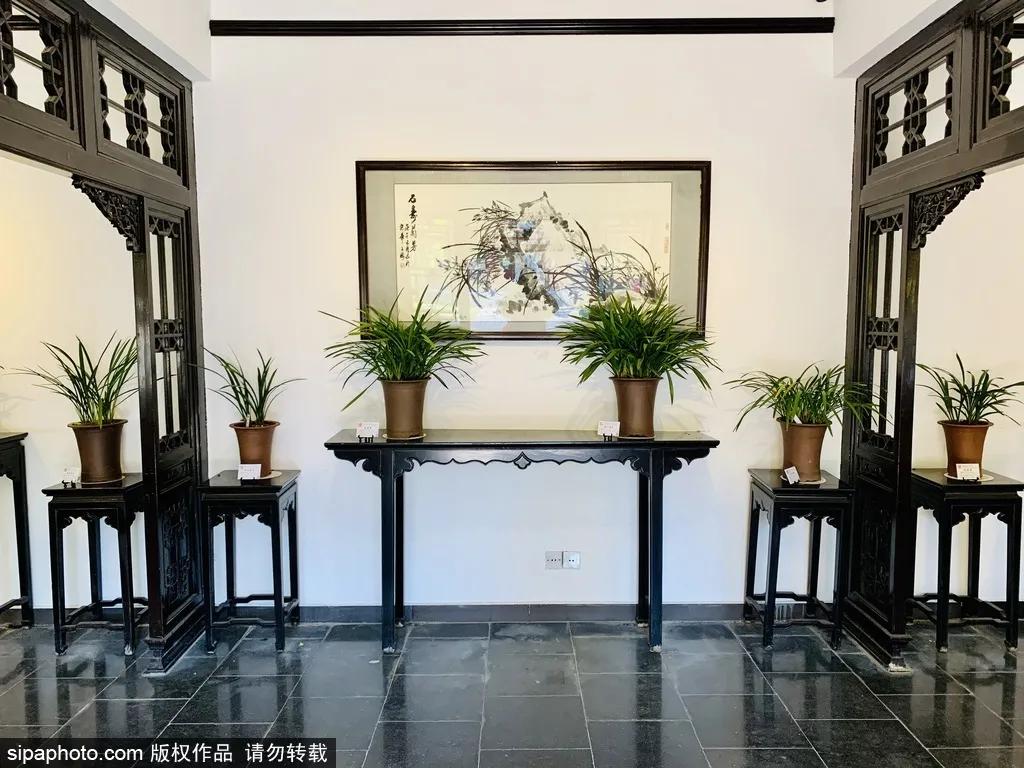 春天北京看花的景点推荐,北京冬天看花的景点推荐