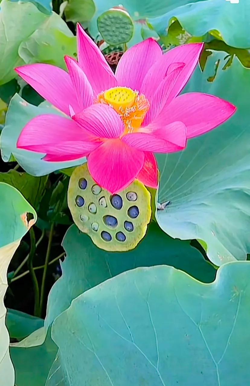 闺蜜聚会朋友圈文案短句干净治愈,适合闺蜜发朋友圈的文案最新