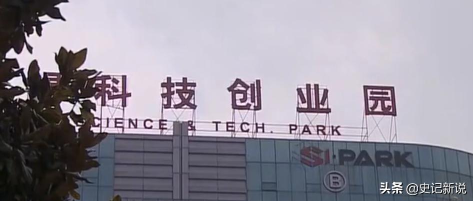 傻小子创业项目,傻小子创业