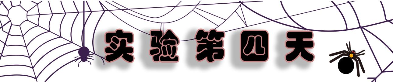 路西法效应好人是如何变成恶魔的,权力导致人性的异化