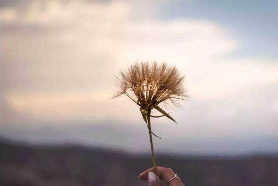 疫情后上海的发展前景如何,疫情过后的上海会怎么样